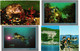 DIVING SPORT 13 Modern Postcards Pre- 1990 (L5718) - Duiken