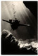 DIVING SPORT 13 Modern Postcards Pre- 1990 (L5718) - Plongeon