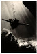 DIVING SPORT 13 Modern Postcards Pre- 1990 (L5718) - High Diving