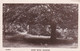 4841  45 Daventry, Badby Wood  1913 - Northamptonshire