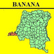 1952 (°) BANANA BELGIAN CONGO  CANCEL STUDY [6] COB 305+310+317+318+320 TROPICAL FLOWERS SELECTION X 5 CANCELS - Errors & Oddities