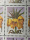 RUSSIA MNH (**) 1996 Flowers YVERT 6165-6159 Mi 480-484 - Fogli Completi