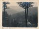WEILERBACH     FOTO +-1928      12 X9  CM           2 SCANS - Berdorf