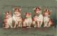 Animaux Déguisés - Chats Avec Un Noeud - Famille Schnurr - Relief - Précurseur -  - Carte Postale Ancienne - Geklede Dieren