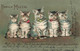 Animaux Déguisés - Chats Avec Un Noeud - Famille Mizzie - Relief - Précurseur - Dorure  - Carte Postale Ancienne - Dressed Animals