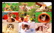 Japan Phonecard，Animal，cat，45 Pcs - Türkei