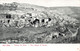 Jordanie - Dorf Siloa - Village De Siloé - Précurseur - Panorama -  Carte Postale Ancienne - Jordanien
