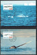 Greenland 1997.  Greenlandic Whales. Michel 305y - 308y Max Cards. - Maximumkaarten