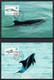 Greenland 1998.  Greenlandic Whales. Int. Ocean Year.. Michel 316y - 321y Maxi Cards. - Maximumkaarten