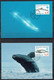 Greenland 1998.  Greenlandic Whales. Int. Ocean Year.. Michel 316y - 321y Maxi Cards. - Cartoline Maximum