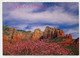 AK 116603 USA - Arizona - Sedona - Sedona