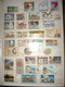 POLOGNE LOT 230 TIMBRES DIFFERENTS DONT ANNEES 80-90 VOIR 6 PHOTOS - Collezioni