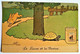 CPA Publicité Illustrée Par Benjamin Rabier Pour Chocolat Lombart Fable Lafontaine Le Lièvre Et La Tortue Boîte Cacao - Rabier, B.
