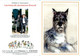 Germaine Bouret Calendrier De Poche 2011 Association Les Amis De Germaine Bouret Chien Dog Cane Perro En TB.Etat - Tamaño Pequeño : 2001-...