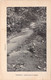 BENIN - DAHOMEY - Chemin Dans La Brousse - Edition ER - Carte Postale Ancienne - Benin