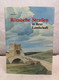 Römische Straßen In Ihrer Landschaft. - Arqueología