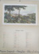 Calendario Da Parete 1964 Olio Pietro Isnardi Oneglia Liguria Antica - Grossformat : 1961-70