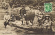 48920. Postal PALMERSTOWN (New Zealkand) 1916. Natives MAORIS. CENSOR Military N.Z. - Storia Postale