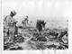 Algeria Sahara Zaret - Airplane Accident Crash, Associated Press Photo Larger Format 21 X 15,5 Cm - Ongevalen