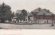 Charlotte Michgan, Carnegie Public Library Building Architecture, C1900s Vintage Postcard - Biblioteche