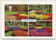 AK 117414 NETHERLANDS - Lisse - Keukenhof - Lisse