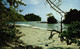 COSTA RICA BEACH OF MANUEL ANTONIO - Costa Rica