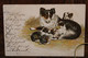 AK 1899 Cpa Chiens Border Coolie ? Chiots Litho Elsass - Cani