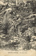 Comoros, GRANDE COMORE, En Pleine Forêt, Man In The Forest (1910s) Postcard - Komoren