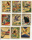 Lot Serie Complete 48 Images  BANANIA Album Images A Collectionner - Banania