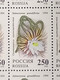 RUSSIA MNH (**)1994 Cactuses  YVERT 6052-6055 Mi 363-367 - Hojas Completas