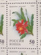 RUSSIA MNH (**)1994 Cactuses  YVERT 6052-6055 Mi 363-367 - Fogli Completi