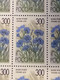 RUSSIA MNH (**) 1995 Meadow Flowers YVERT6122 -6126 Mi 425-429 - Fogli Completi