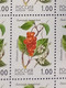 RUSSIA MNH (**) 1998 Berries YVERT 6248-6252 Mi 668-672 - Full Sheets