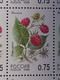 RUSSIA MNH (**) 1998 Berries YVERT 6248-6252 Mi 668-672 - Fogli Completi