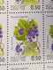 Delcampe - RUSSIA MNH (**) 1998 Berries YVERT 6248-6252 Mi 668-672 - Ganze Bögen