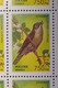 RUSSIA MNH (**)1995 Songbirds  YVERT6127-6131  Mi 440-444 - Fogli Completi