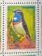 Delcampe - RUSSIA MNH (**)1995 Songbirds  YVERT6127-6131  Mi 440-444 - Volledige Vellen