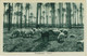 P0302 - LIBIA ITALIANA  Libya  - Storia Postale -  CARTOLINA Con Raro Annullo SORMAN 1940 - Libye