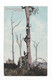 Queensland Arboriginals, Tree-climbing, éd. Valentine & Sons, 1919 - Sonstige & Ohne Zuordnung