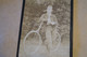 Grande Photo Militaire Avec Vélo ,pour Collection,16,5 Cm. Sur 10,5 Cm - Alte (vor 1900)