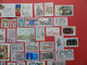 FRANCE OBLITERES : ANNEE COMPLETE 1981 SOIT 60 TIMBRES POSTE DIFFERENTS 1ER CHOIX - 1980-1989