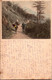 JAPON - The Road Of Yumoto At NIKKO - Timbre - Correspondance Japon à MAMERS - Autres & Non Classés