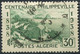 Delcampe - Algérie - 1938 -> 1956 - Lot Timbres * TC Et Oblitérés - Nºs Dans Description - Gebraucht