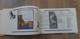 Delcampe - B01-418 Livre Hergé Tintin Le Haddock Illustré Albert Algoud 94 Pages Casterman Moulinsart - Hergé