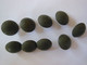 Lot De 9 Boutons Militaires Mat 25mm Bachler Châteaudun - Boutons