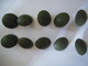 Lot De 10 Boutons Militaires Mat 25mm Bachler Châteaudun - Boutons