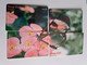 HONG KONG    PUZZLE /  SERIE 4 CARDS  / BUTTERFLY / ANIMAL     Complete SET      CARD USED   **12174** - Hong Kong