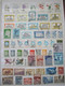 ARGENTINE LOT 120 TIMBRES **/*/o DIVERS VOIR 7 PHOTOS - Collections, Lots & Séries