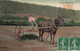 Râteau Mécanique - Colorisé - Attelage - Fermier - Cheval - Carte Postale Ancienne - Equipos