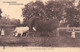 Agriculture - La Campagne Bourbonnaise - Les Travaux Des Champs - Les Foins - Boeuf  - Carte Postale Ancienne - Wagengespanne